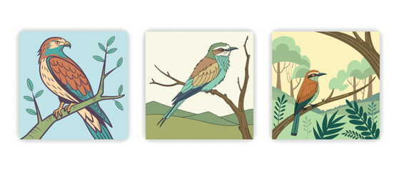  Nice Bird 3 item design