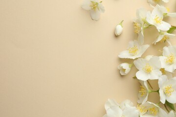 Beautiful jasmine flowers on beige background, flat lay. Space for text