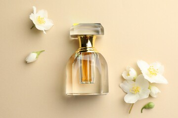 Bottle of perfume and beautiful jasmine flowers on beige background, flat lay