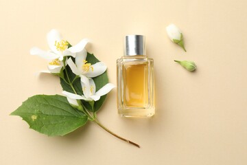 Bottle of perfume, beautiful jasmine flowers and green leaves on beige background, flat lay