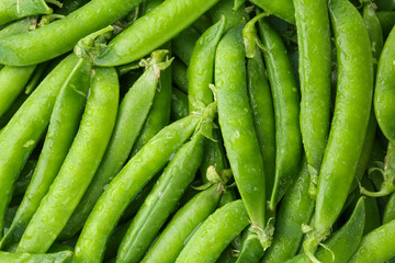 Fresh green pea pods as background, top view