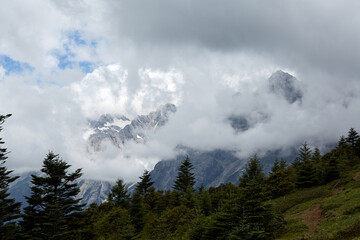 Lijiang Jade Dragon Snow Mountain mist-shrouded mountain range and vertical vegetation scenery