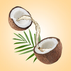 Halved coconut and oil on dark beige background