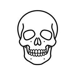 Fototapeta premium Skull illustration in black line art style on white background 