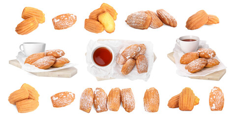 Tasty madeleine cakes on white background, collage