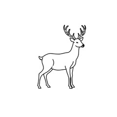 Obraz premium Stag with antlers standing in profile on a white background 