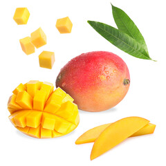 Tasty fresh mango fruits and green leaves on white background, collage