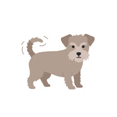 Fototapeta premium Playful dog standing in a bright, minimalist setting with a wagging tail