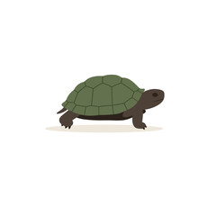 A cartoon turtle walking slowly across a light background, showcasing its unique shell