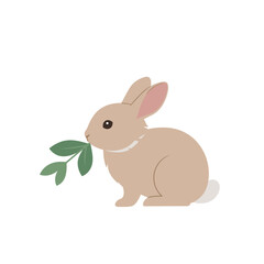 Obraz premium Cute rabbit nibbling on a green leaf in a minimalist white background setting