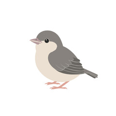 Obraz premium Illustration of a small bird perched, showcasing its detailed features against a plain background