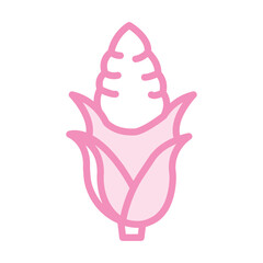 Corn duotone line icon , vector, pixel perfect, illustrator file  
