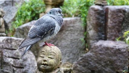 日本の寺の石像