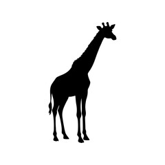 Cute giraffe silhouette vector flat illustration design.