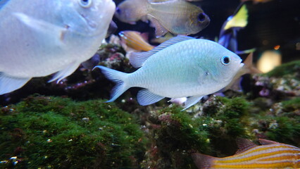 水族館