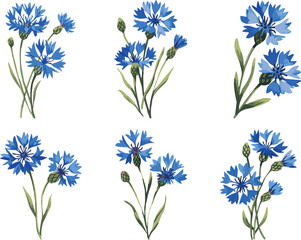 set of blue flowers Vectors illustrations