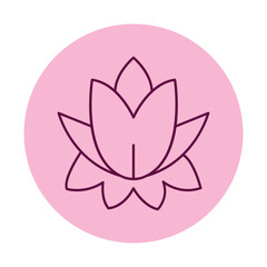 Water Lily vector, pixel perfect, illustrator file 
