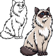 Birman cat vector