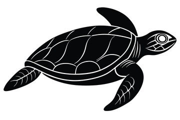 Fototapeta premium Sea Turtle Illustration of Black Turtle With White Accents on White