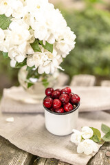 White enamel mug with ripe cherries placed on a fabric beside a vase of blooming jasmine. Bright and cozy summer moment with floral freshness and rustic charm.