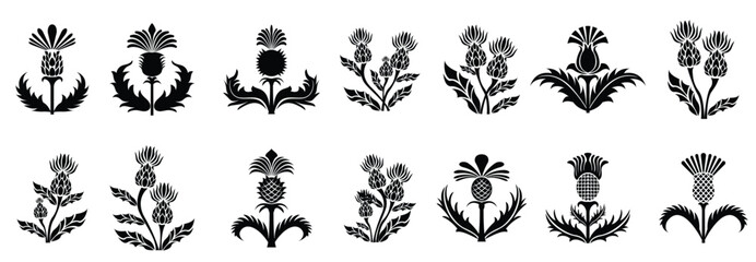 thistle plant silhouettes premium vectors © diamond