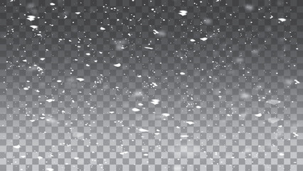 Winter with snow in transparent background. 