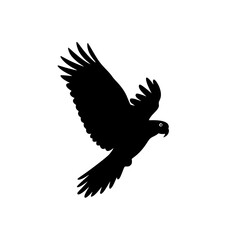 Silhouette of a parrot in flight with wings spread against white background