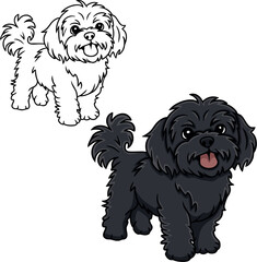 Shih tzu dog vector