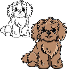 Shih tzu dog vector