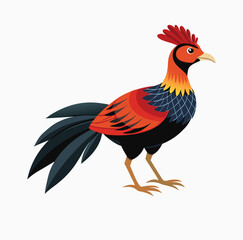  siamese - fireback on white background