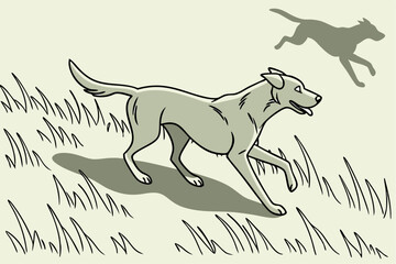 Canine Motion: Running Dog Shadows