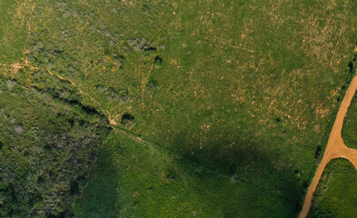 Grass Field panorama aerial top down view