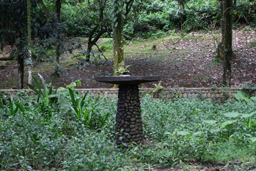 A round stone pedestal stands in the center of a lush forest garden, surrounded by dense green...