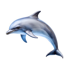 Obraz premium Dolphin isolated on a transparent background