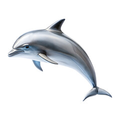 Obraz premium Dolphin isolated on a transparent background