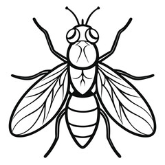 Fototapeta premium Adobe Illustrator Artwork