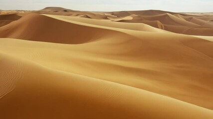 Orange sandy dunes of the endless desert spreading to the horizon - Powered by Adobe