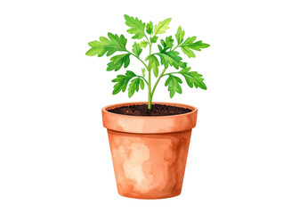 A vibrant young green plant with fresh leaves growing in a traditional terracotta pot filled with rich soil. Ideal for gardening, nature, or growth related designs.