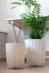 two white planters with plants on the floor