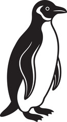 penguin on a white background