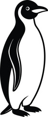 penguin on a white background