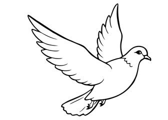 Hand drawn flying pigeon against white background 