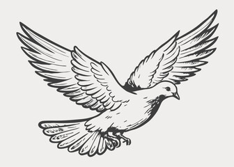 White pigeon bird vintage style Minimalist concept vector illustration