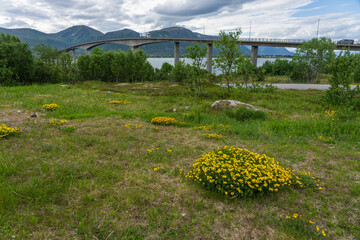 Andøy bridge, Rishøyhamn, Nordland, Norway