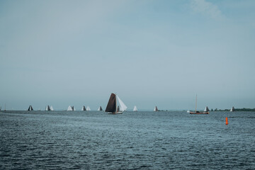 Auf dem IJsselmeer zieht sich eine eindrucksvolle Regatta von Plattbodenschiffen in breitem Panorama über das Wasser, ihre braunen und weißen Segel blähen sich im Wind.