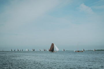 Auf dem IJsselmeer zieht sich eine eindrucksvolle Regatta von Plattbodenschiffen in breitem Panorama über das Wasser, ihre braunen und weißen Segel blähen sich im Wind.