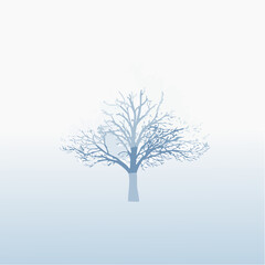 solitary tree in winter