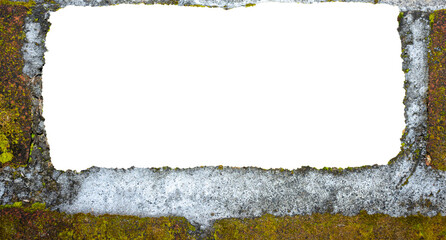 Weathered Red Clay Brick Wall Texture with Moss and Fungi. Ideal for Creative Project or Design.
