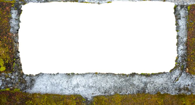 Weathered Red Clay Brick Wall Texture with Moss and Fungi. Ideal for Creative Project or Design.