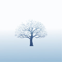 Fototapeta premium solitary tree in winter